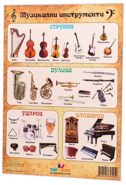 Топ Кидс